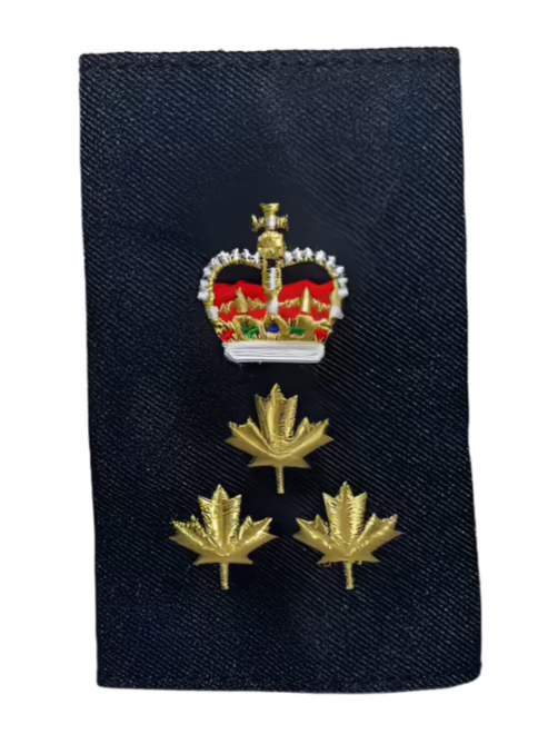 CHIEF Gold Slip-Ons - EP01G