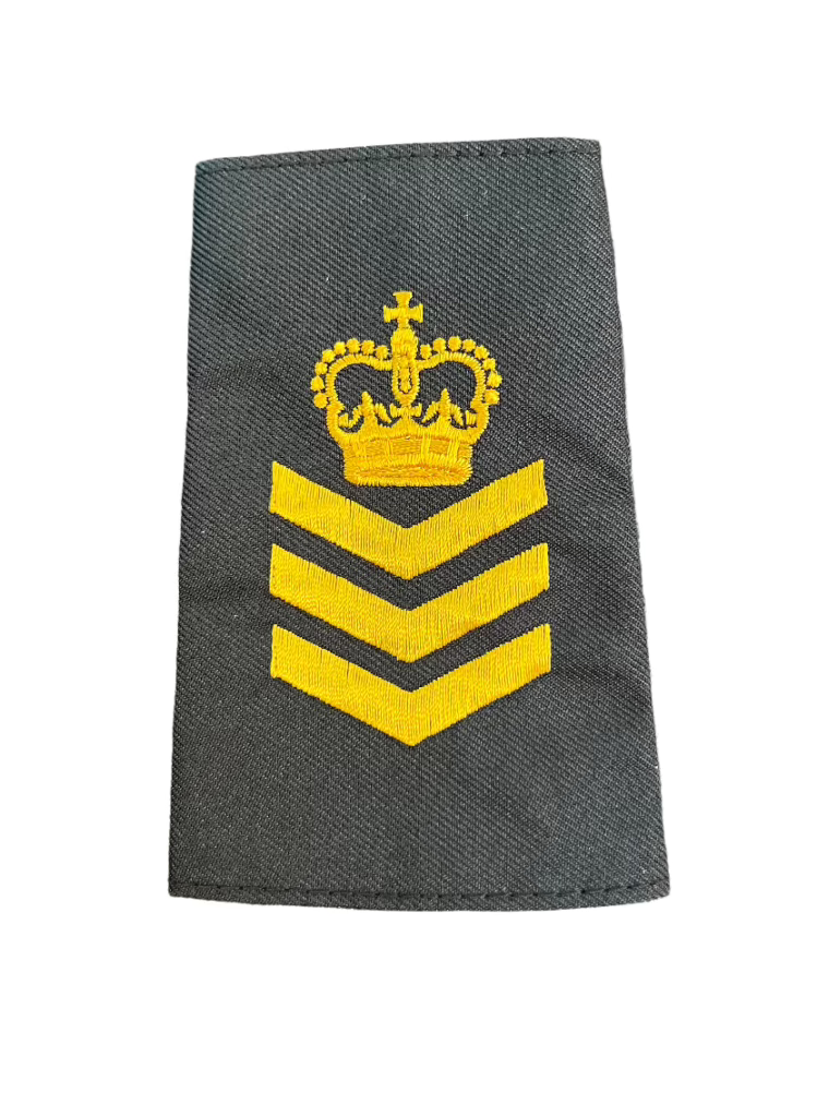 STAFF SERGEANT Gold Slip-Ons - EP07G