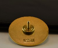 5 x Tumpet Gold Cap Badge