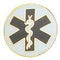 EMS Gold Pin Solid 1"