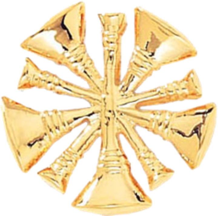 FIRE Pins