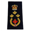 Chief Paramedic EMS Bullion Slip-Ons - EF620