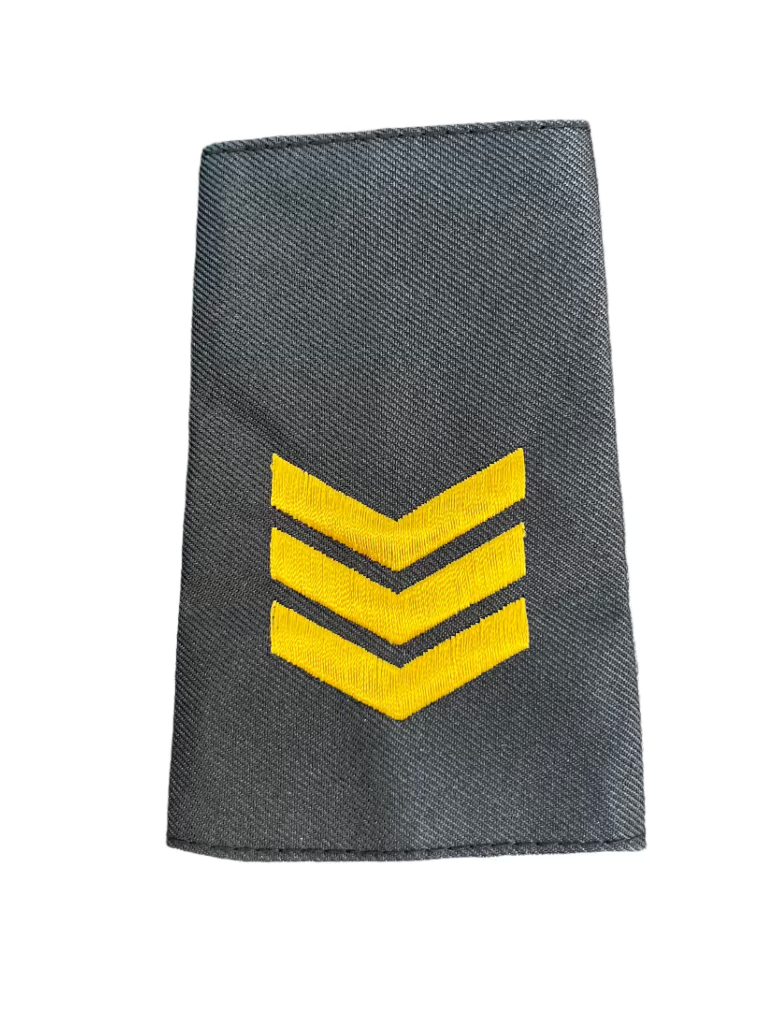 SERGEANT Gold Slip-Ons - EP08G