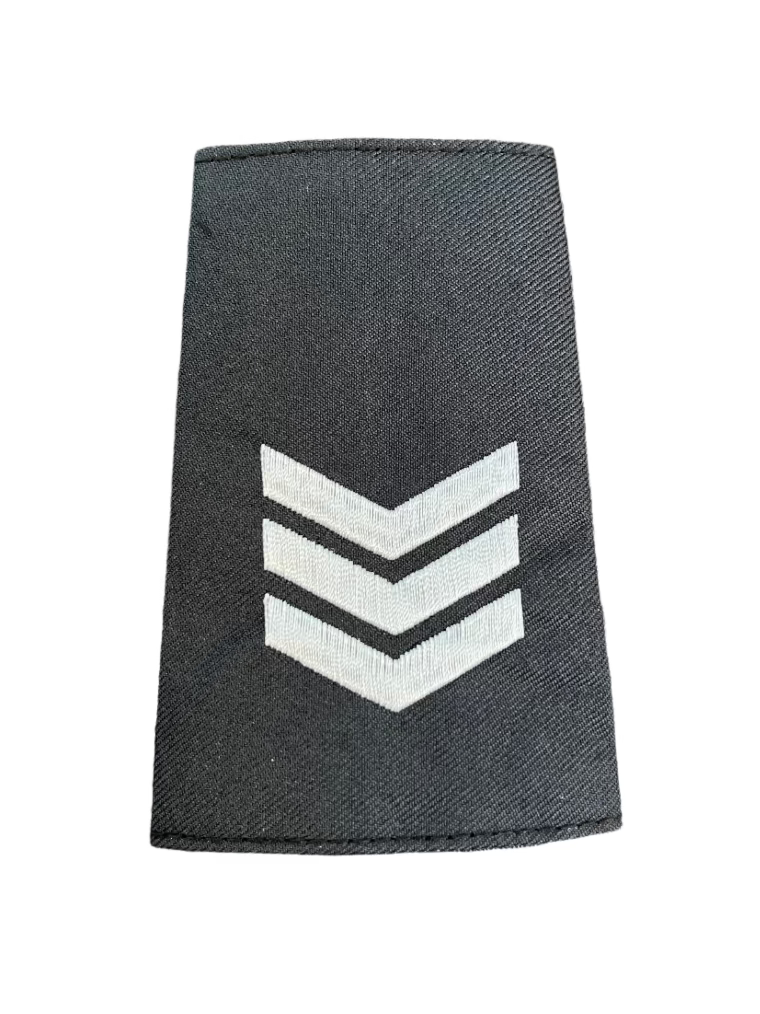SERGEANT Silver Slip-Ons