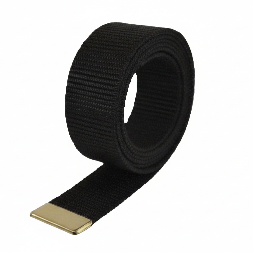 Extra Long Web Belt With Gold or Silver Tip - BT07