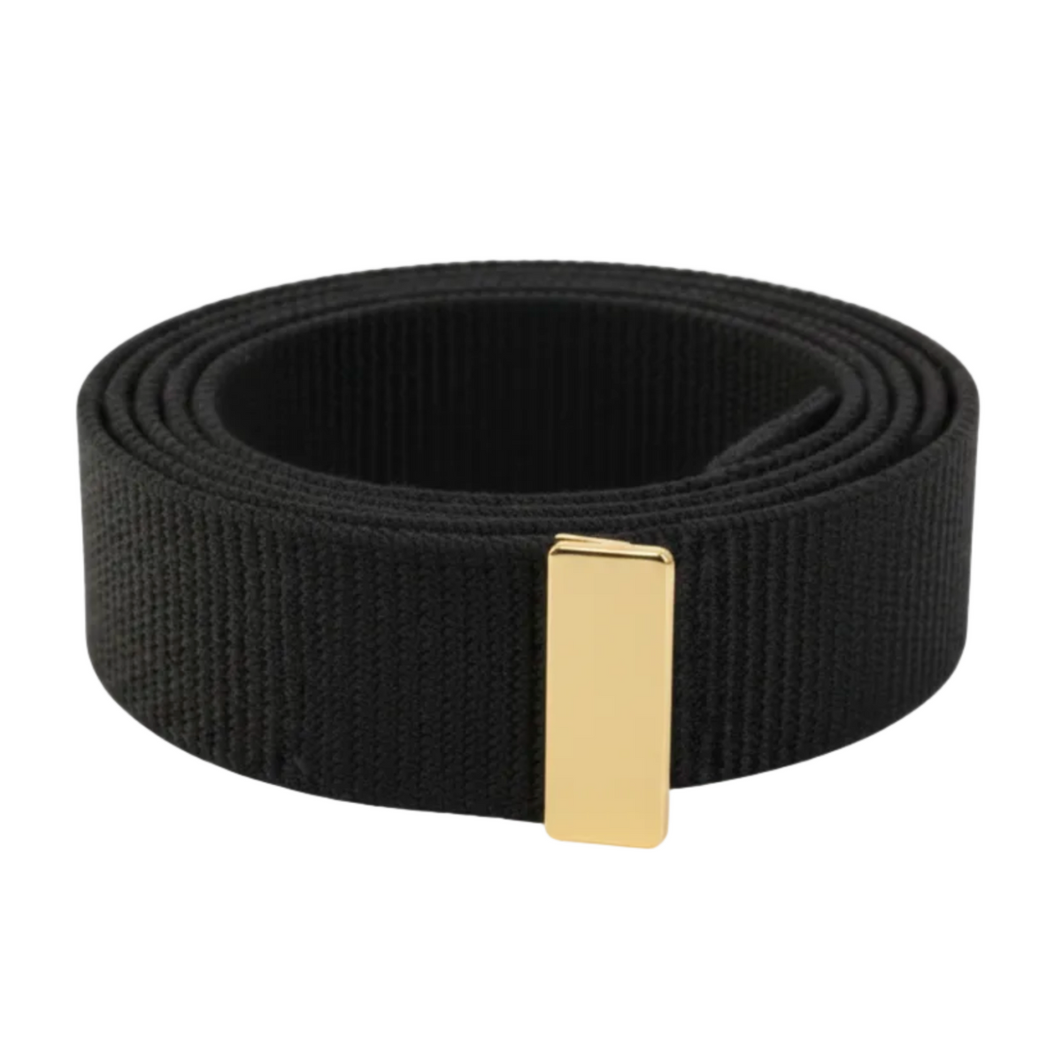 Web Belt With Gold or Silver Tip - BT07