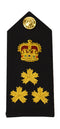 CHIEF Shoulder Boards