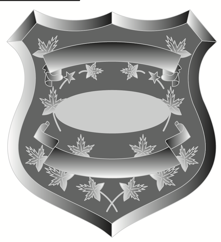 BD07 Badge