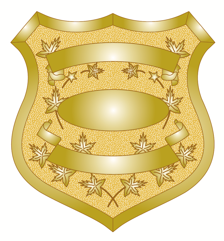 BD07 Badge