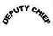 DEPUTY CHIEF Curved Helmet Decal