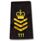 STAFF SERGEANT Gold