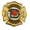 LIFE SAVED Maltese Cross Gold Pin