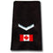 1 Chevron Silver Canada Flag Slip-Ons