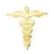 Caduceus Large Gold Pin