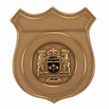 BD09 Badge