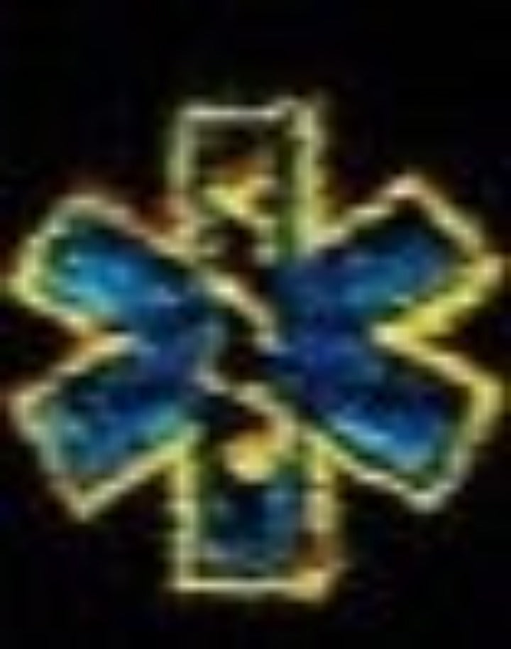 EMS Years Service Gold - SF001EG