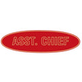 Assistant Chief Oval Pin - LF142G