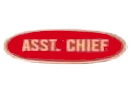 Assistant Chief Oval Pin