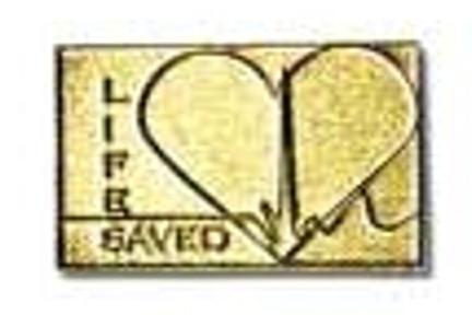 LF95G LIFE SAVED Gold Lapel Pin