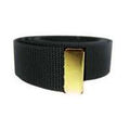 Extra Long Web Belt With Gold or Silver Tip - BT07