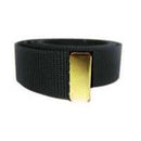 Web Belt With Gold Tip